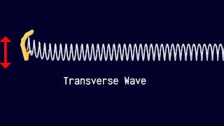 Longitudinal and Transverse Waves [upl. by Jamison]