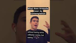 How to contemplate like Aristotle philosophy happiness ethics [upl. by Birk789]