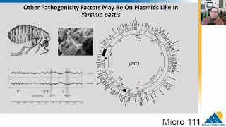 MICR111 Ch181  The Making of a Pathogen [upl. by Ahsiemal]