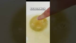 Wie bekomme ich den Abfluss frei Abfluss verstopft Abfluss Hausmittel lifehacks genialetricks [upl. by Googins512]