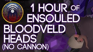 1 Hour of Ensouled Bloodveld Heads no cannon [upl. by Violet]