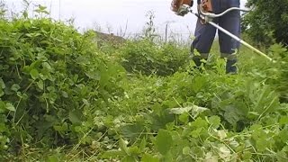 Using my Stihl FS 85 brushcutter in high grass with the brush knifeblade on pt 1 [upl. by Elson420]