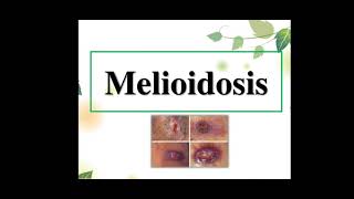 Melioidosis [upl. by Nussbaum876]