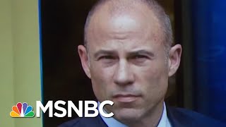 Michael Avenatti On Separating Migrant Children We’re Entering Fight In Big Way  AM Joy  MSNBC [upl. by Tansy]