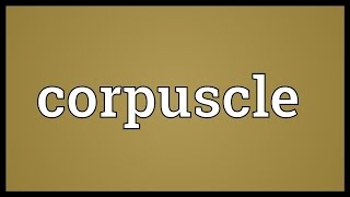 Corpuscle Meaning [upl. by Penney]