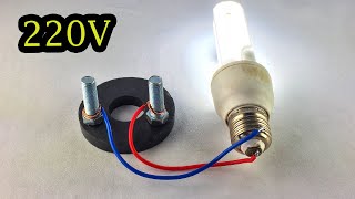 Wow Electric Free Energy Generator 100 Using Magnet amp Light Bulb 220V [upl. by Cirdor974]