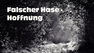 Falscher Hase  Hoffnung April 2020 DJ Mix  Deep House [upl. by Anawal]