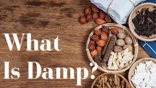 What Is Damp In Chinese Medicine How Does It Affect My Body Chinese Medicine Dr Explains [upl. by Essyla]