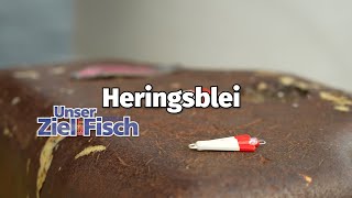 Tackle Jörgs Heringsblei  Unser Ziel ist Fisch [upl. by Moon]