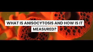 What is Anisocytosis [upl. by Takara]