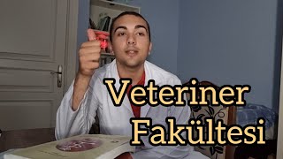 Veteriner Fakültesini Tercih Etmeli Miyim yks üniversitesınavı veterinerhekim yks2022 [upl. by Enautna]