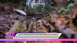 Alertan indígenas devastación del bosque en Tochimilco [upl. by Notseh579]