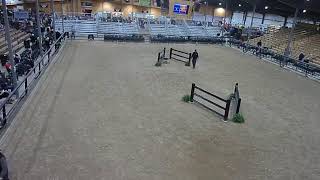 Topeka Livestock Auction Live Stream [upl. by Nosa]