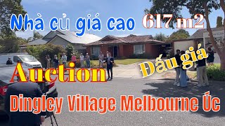 Đấu giá nhà củ giá lại cao ở Dingley Village Melbourne Úc🇦🇺 [upl. by Humfried70]