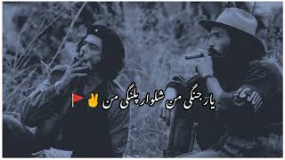 Yar Jangi E Man Shalwar Phalangi E Man New Mast Irani Song [upl. by Anauqal]