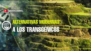 5 Tecnologías y Técnicas Agrícolas opcionales para no aferrarse a los Transgénicos 🌾 [upl. by Rogerson]