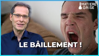 Pourquoi baillonsnous  🥱  Matière Grise [upl. by Anwahsad131]