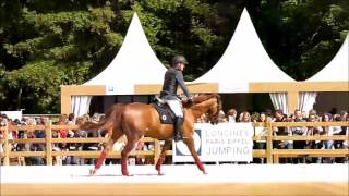 Simon Delestre Hermès Ryan Leprévost Ratina paddock Eiffel 2016 saturday [upl. by Park]