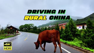 UNBELIEVABLE Driving Experience in RURAL China [upl. by Desmund]