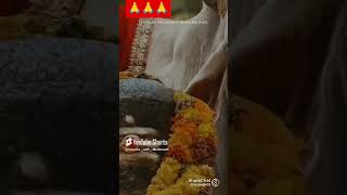 🕉️🕉️🔥Shiva ji Parvati mata ka sabse best status jarur dekhen🕉️🕉️🔥shorts mahadev status [upl. by Berard368]