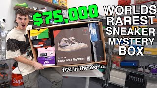 Unboxing The Worlds Rarest 75000 Sneaker Mystery Box [upl. by Angell15]