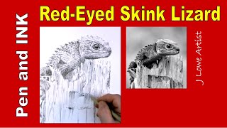 How to Draw a RedEyed Crocodile Skink Lizard [upl. by Legin930]