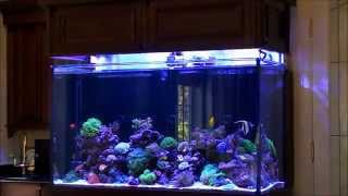 Dons HighTech Custom Reef Tank [upl. by Nerw]