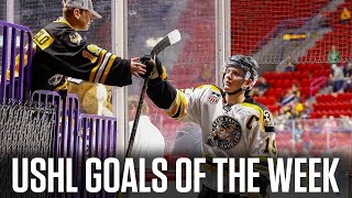 USHL Goals Of The Week Owen Beckner Completes The Comeback Landon Resendes Silky Mitts And More [upl. by Leon146]