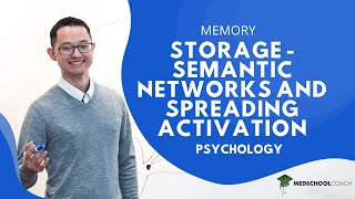 Storage – Semantic Networks and Spreading Activation [upl. by Yraccaz]