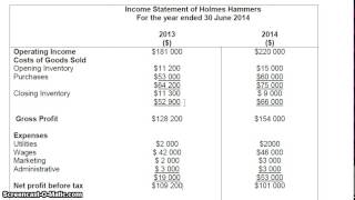 Income Statement Explained Revenue Profit and Loss PampL [upl. by Aynatan]