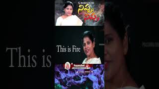 Nippu Nippu Song  నిప్పు నిప్పు  Fire Fire  Prasanna Bold [upl. by Dadirac]