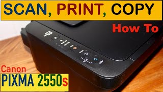 How To Scan Print Copy with Canon PIXMA MG2550s Printer [upl. by Lledualc659]