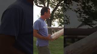 What happened to Cargo Box in Cast away That could have saved his life castaway fedex tomhanks [upl. by Yggep939]