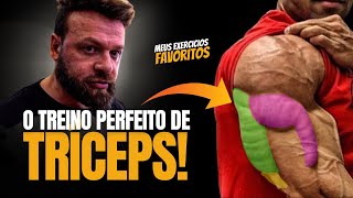 3 EXERCÍCIOS QUE VÃO MUDAR SEU TRÍCEPS séries e repetições [upl. by Cain]