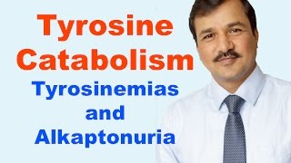 Tyrosine Metabolism Review [upl. by Ahsitel]