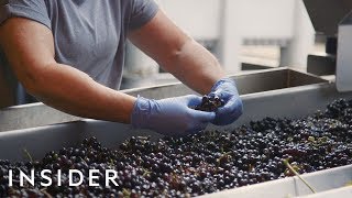 How Wine Is Made [upl. by Yle]