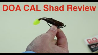 DOA CAL Shad Review including underwater demo footage [upl. by Anev1]