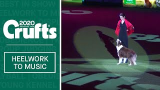 Heelwork To Music Winner at Crufts 2020 [upl. by Rozelle]