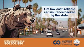 Sequoia the Bear Introducing California Low Cost Auto Insurance [upl. by Oigaib64]