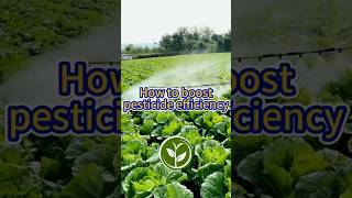 How to boost pesticide efficiency shortvideo howto garden youtubeshorts viralvideo plants [upl. by Trey]