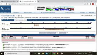 Conserved Domain search of gene [upl. by Hitoshi518]