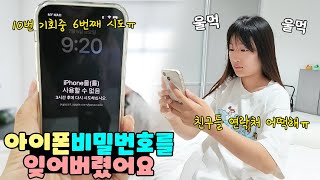 아이폰 비밀번호 분실 10번의 기회안에 못 맞히면 핸드폰을 영영 못쓴대요ㅠ 친구들 연락처 다 사라질 위기ㅠ 가족 일상 브이로그 vlogㅣ토깽이네 [upl. by Sean481]