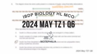 IB Biology HL 2024 May TZ1 Paper 1 Q6 [upl. by Willy]