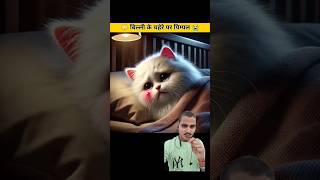 billi ko muh per pimples nikl to use koi psnd nhi krta haifacts cat cute catsworld shorts [upl. by Nitnerb]