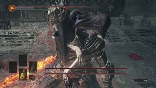 Lothric and Lorian Twin Princes Glitch and Freeze  DS3 2024 [upl. by Mitch613]