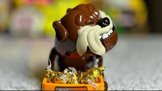 Mad Dog beware dont take his favorite Kisses Chocolates ASMR 😁 scary dog funnytoy asmr toys [upl. by Cecelia335]