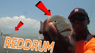 Baytown Texas Spillway Adventure Catch And Cooking Black Drum Fish [upl. by Krum231]