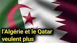 🇩🇿🇶🇦 Renforcement des Liens  Forum Économique AlgéroQatari pour un Avenir Prospère [upl. by Esinnej871]