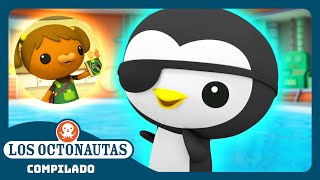 Los Octonautas  🦦 Los reclutas subalternos 🦺  Episodios Completos  Compilado [upl. by Hizar329]