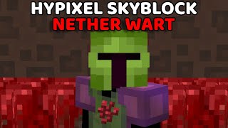 Which Netherwarts Farm Is Better   Hypixel Skyblock Creating THE ULTIMATE HOE 2 [upl. by Riggs]